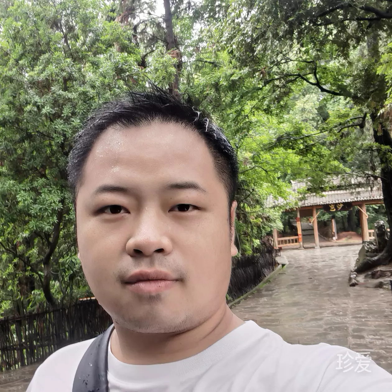 脆哨酸粉
