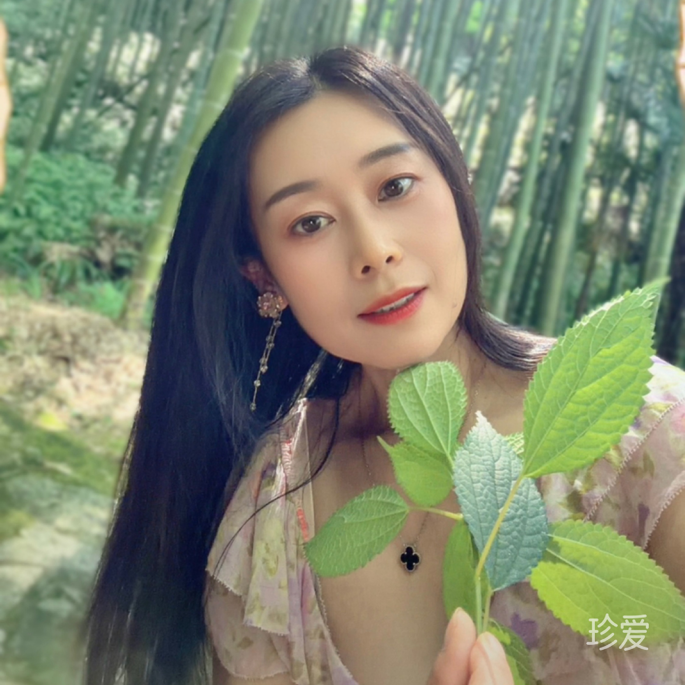 芷兰