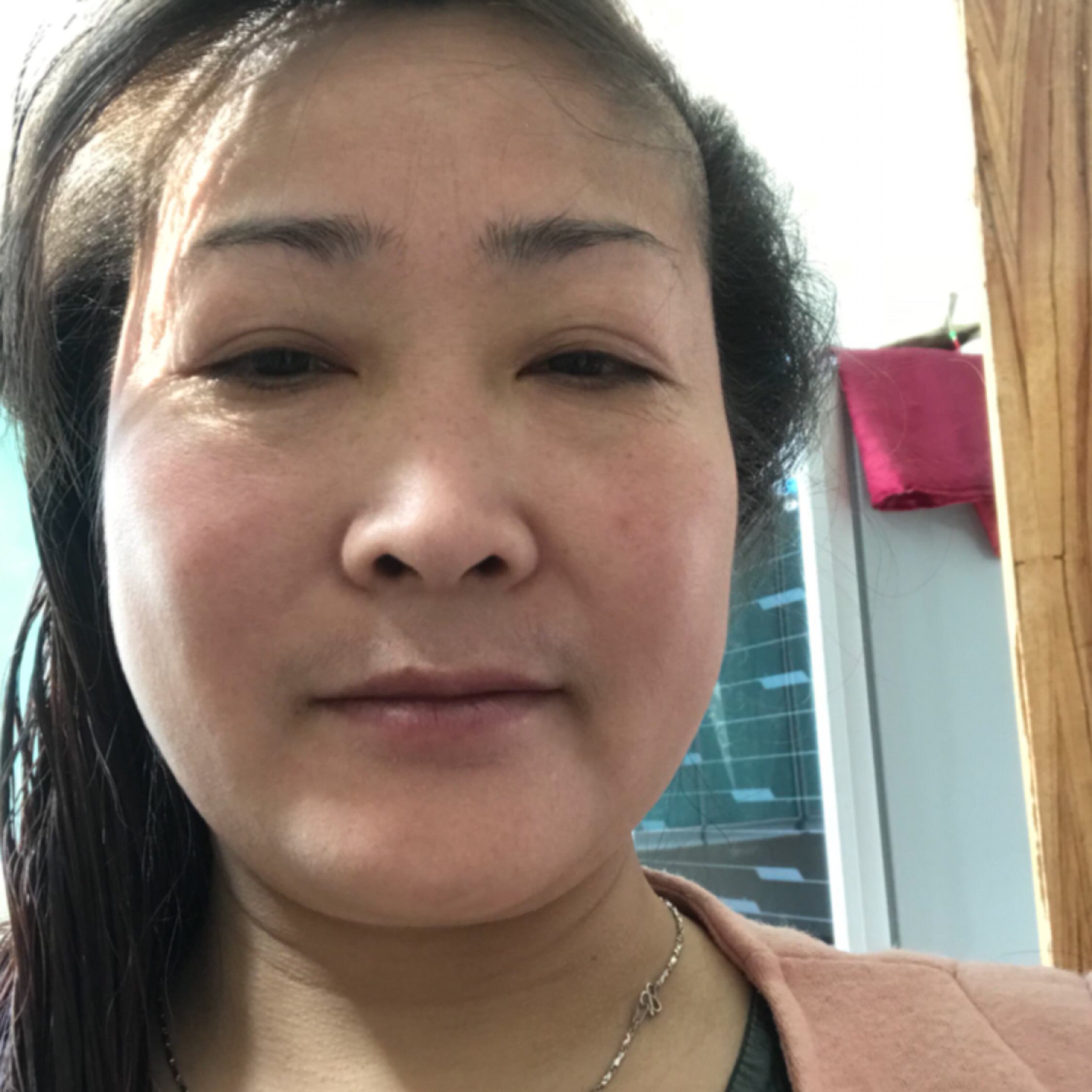 會(huì)飛的鴨子