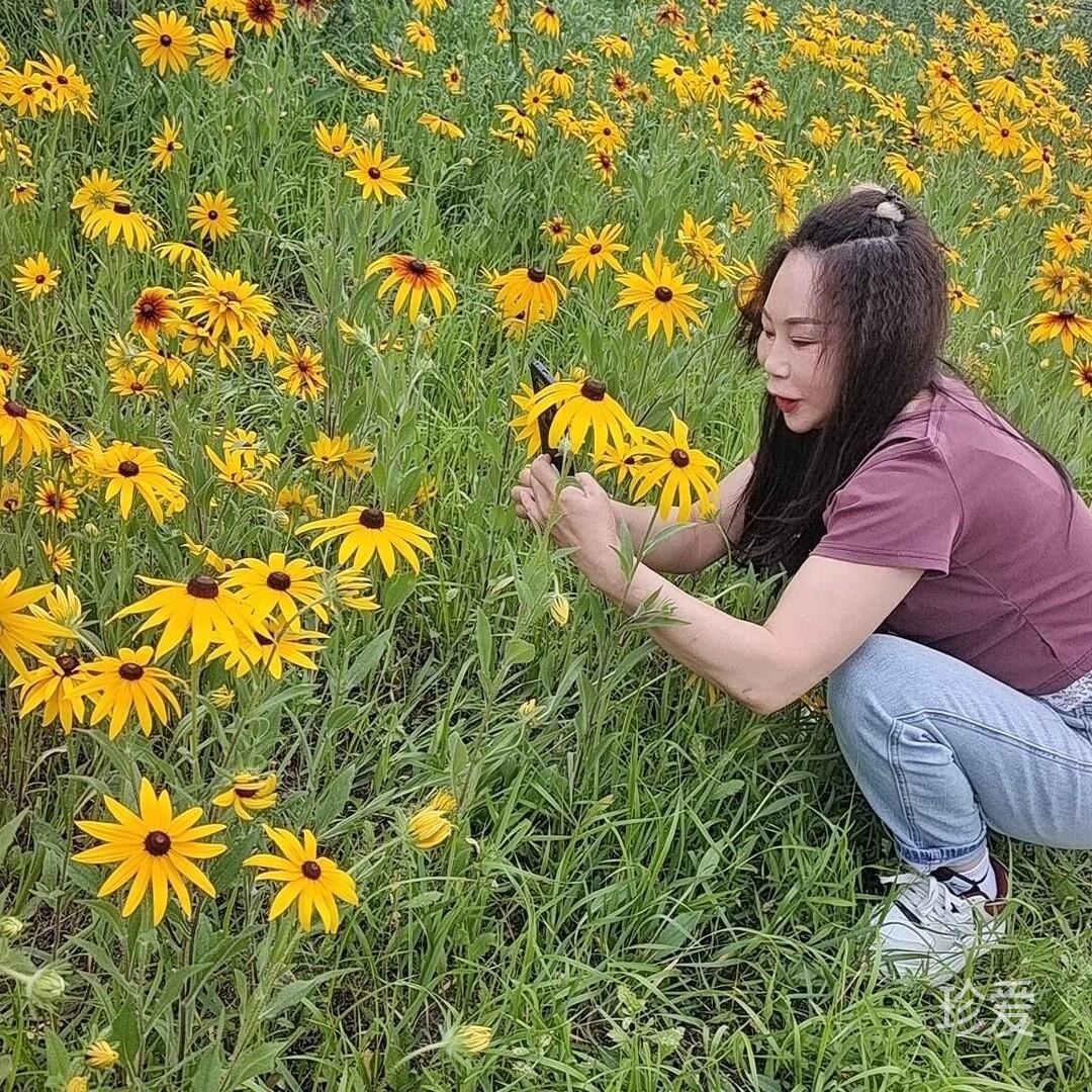 小草
