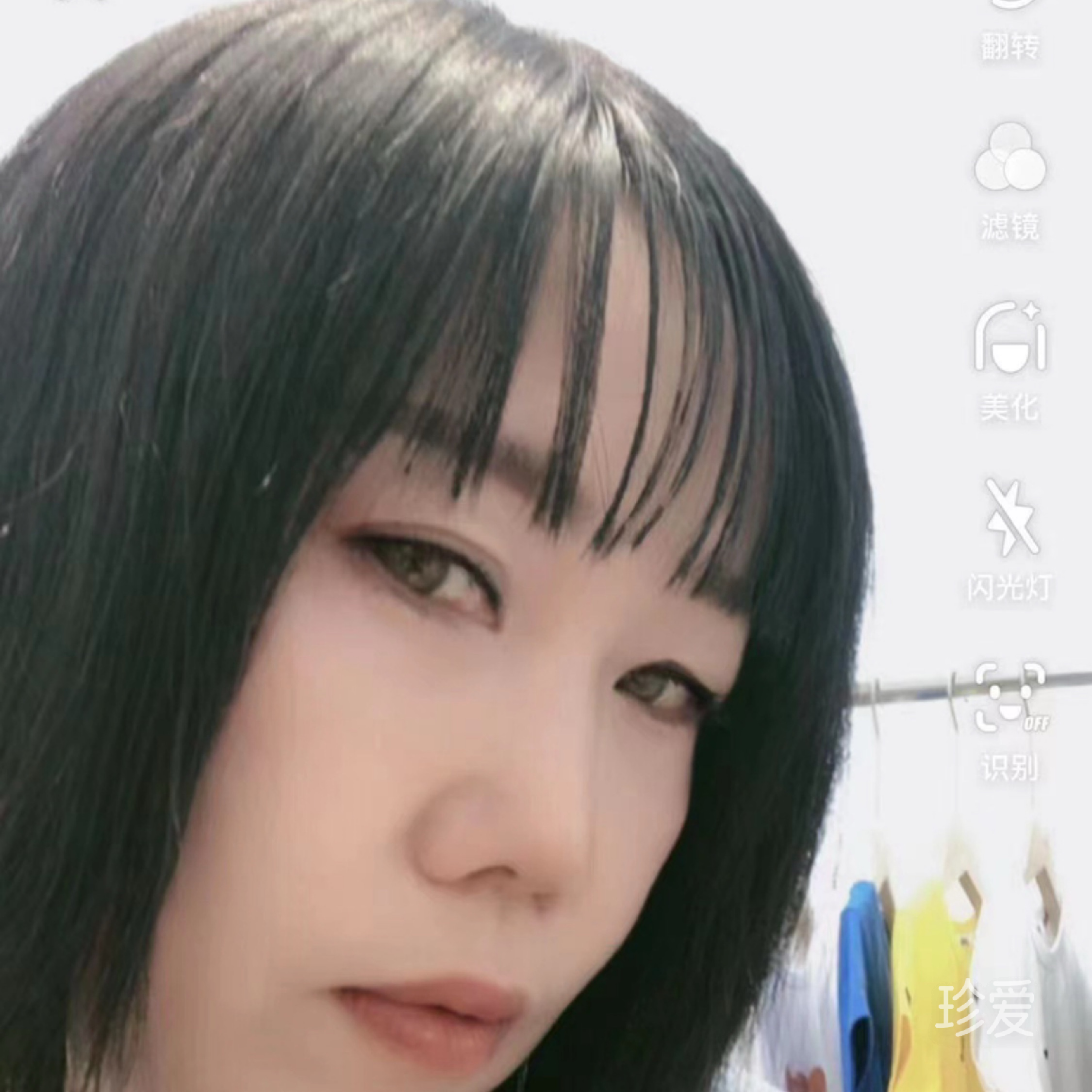 晨晨