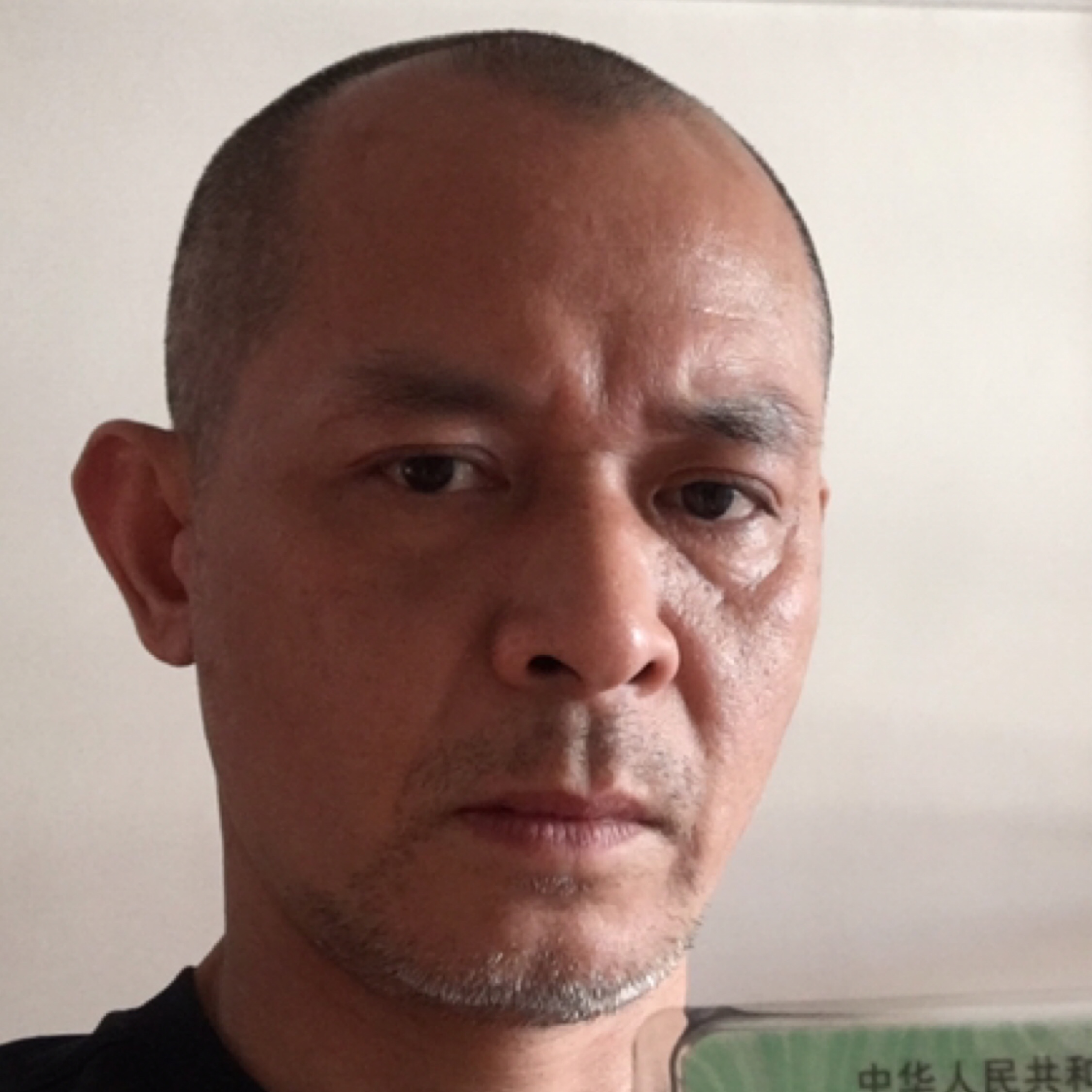 求風(fēng)聲休笑我