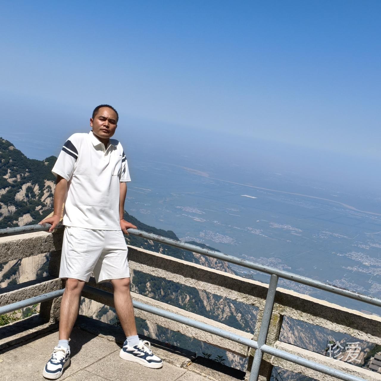 淡而又淡的名贵