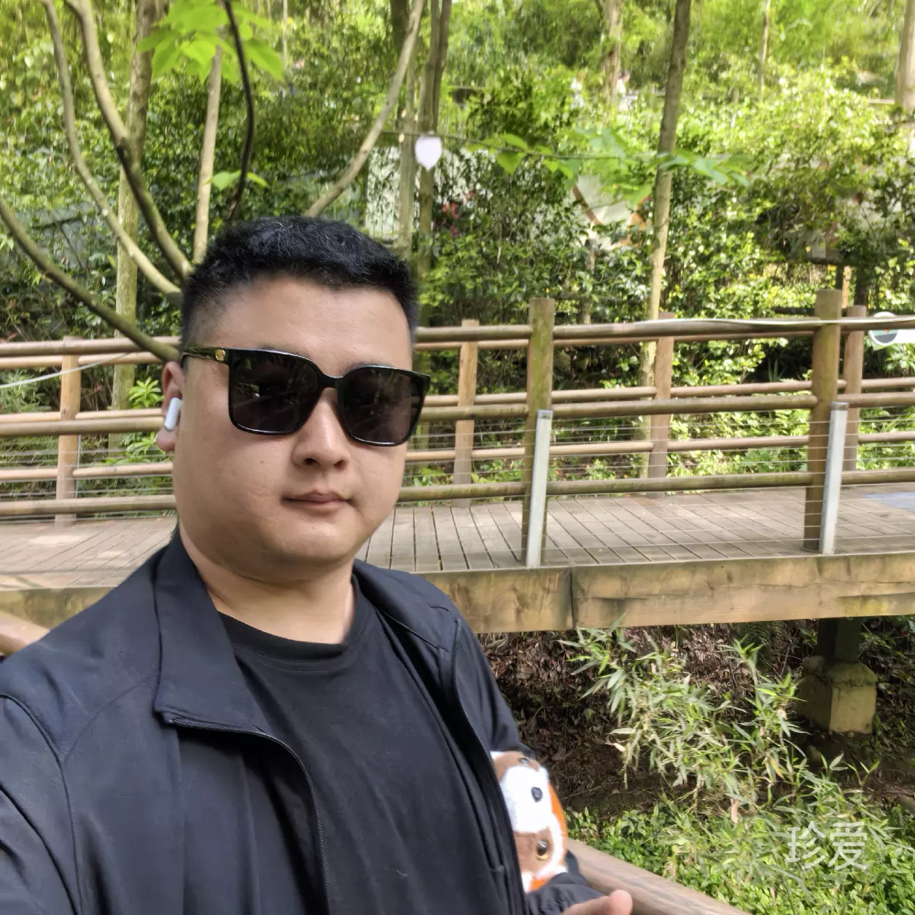 昨天在梦里