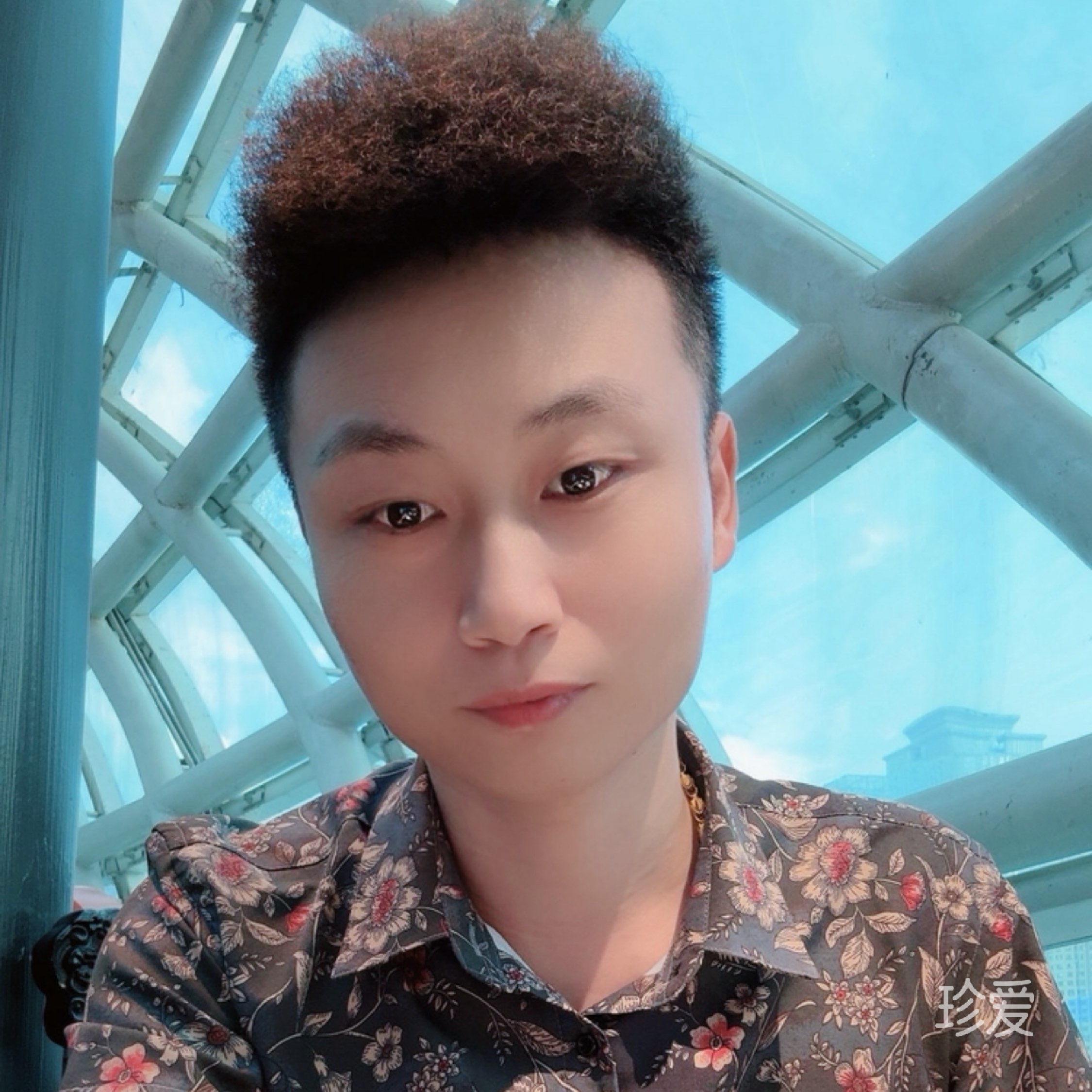 只为寻你
