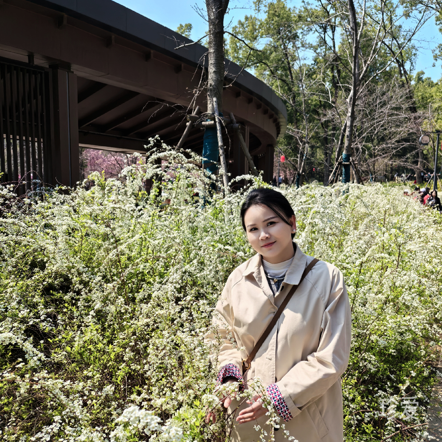 清水里的鱼