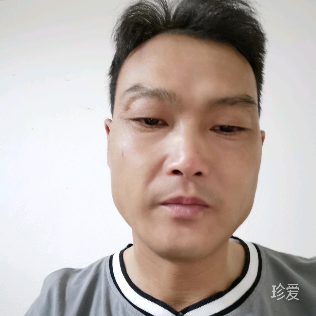 漂泊的枫叶