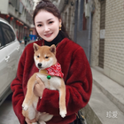 感性海豚