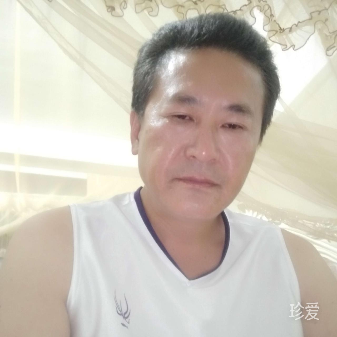 森蝶飞