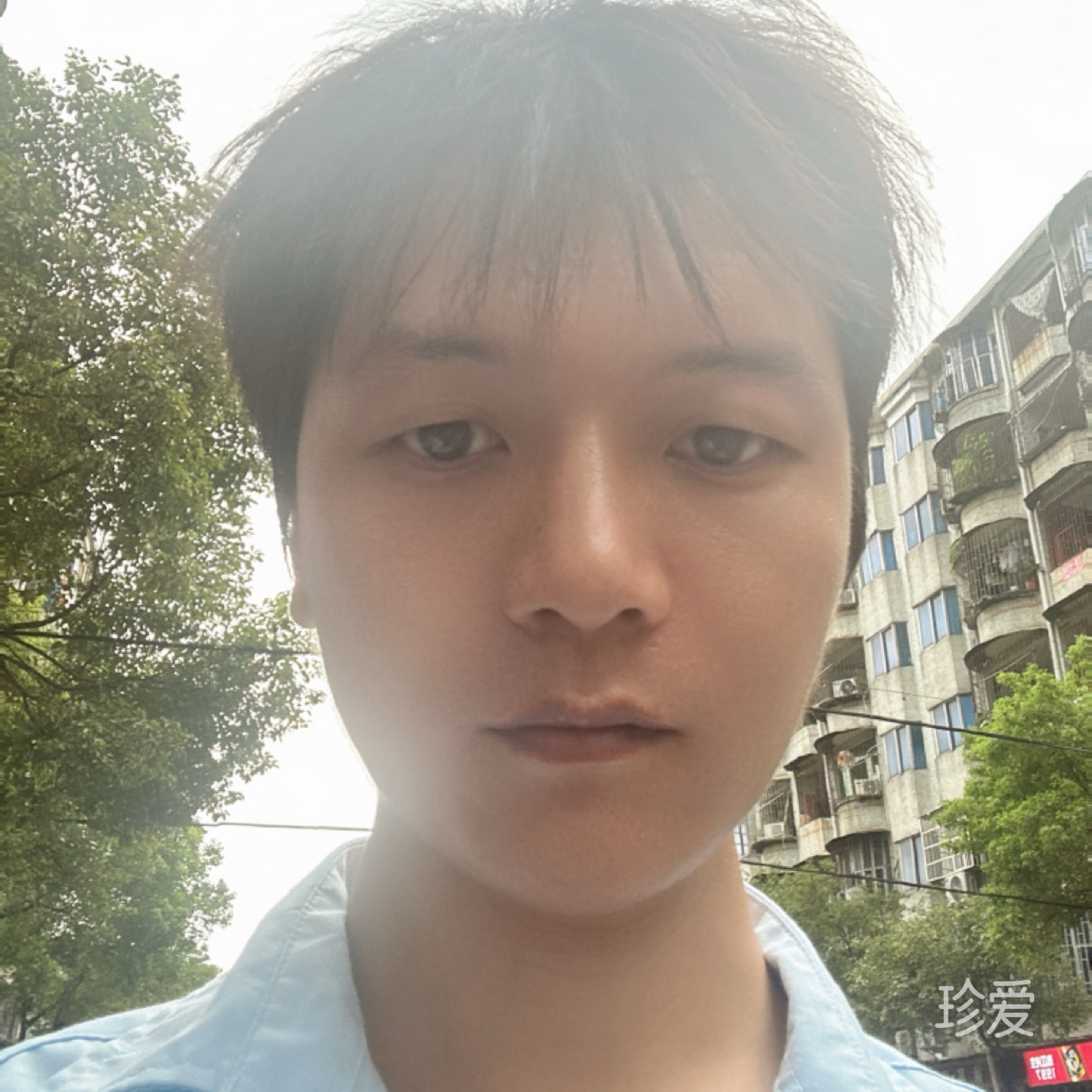 飘逸沙