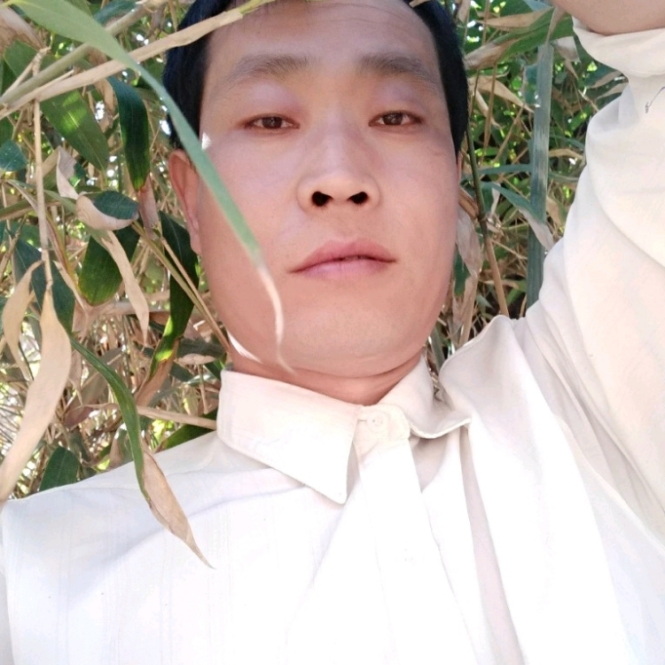 橋上看風(fēng)景