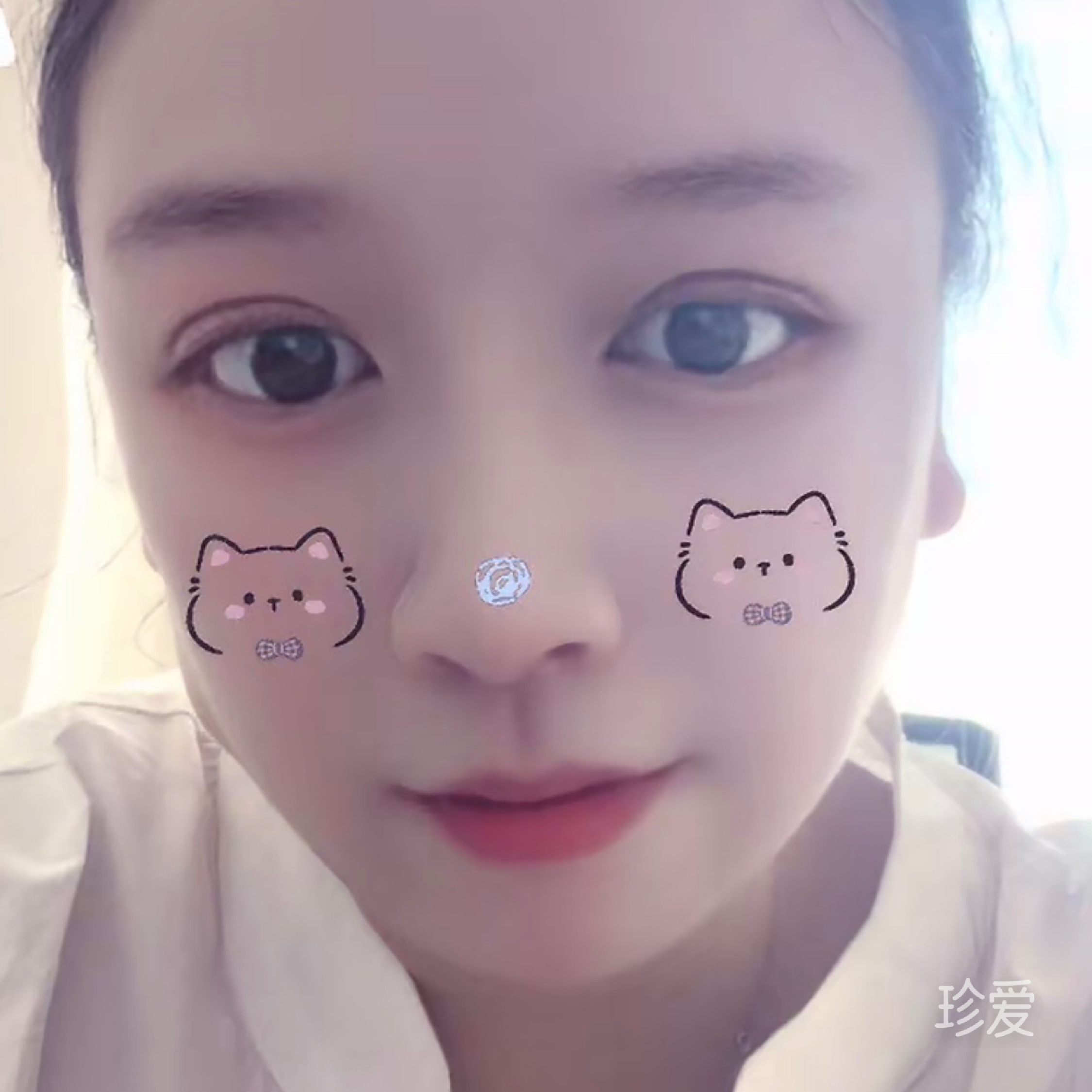 佳佳
