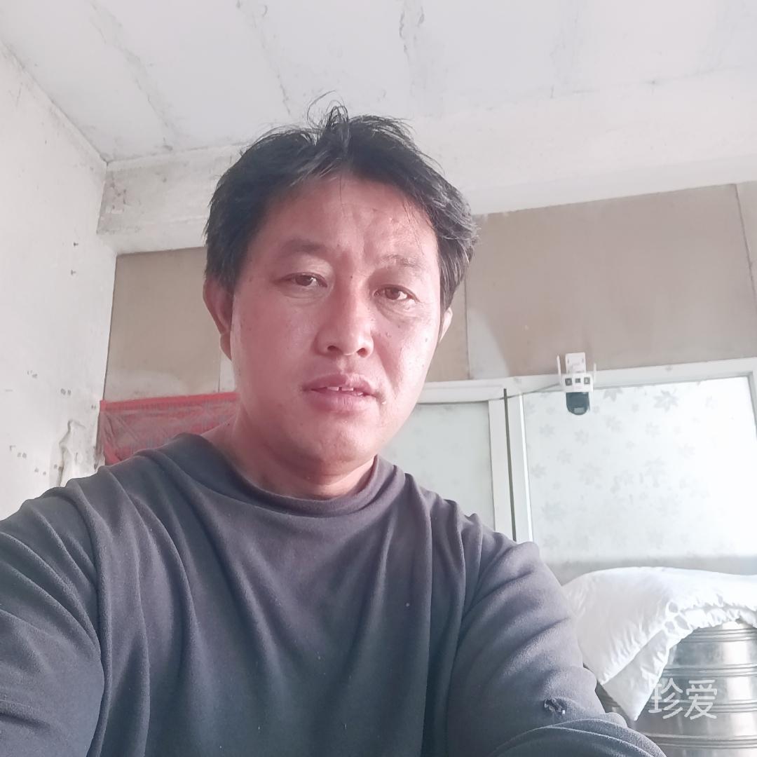 古槐树