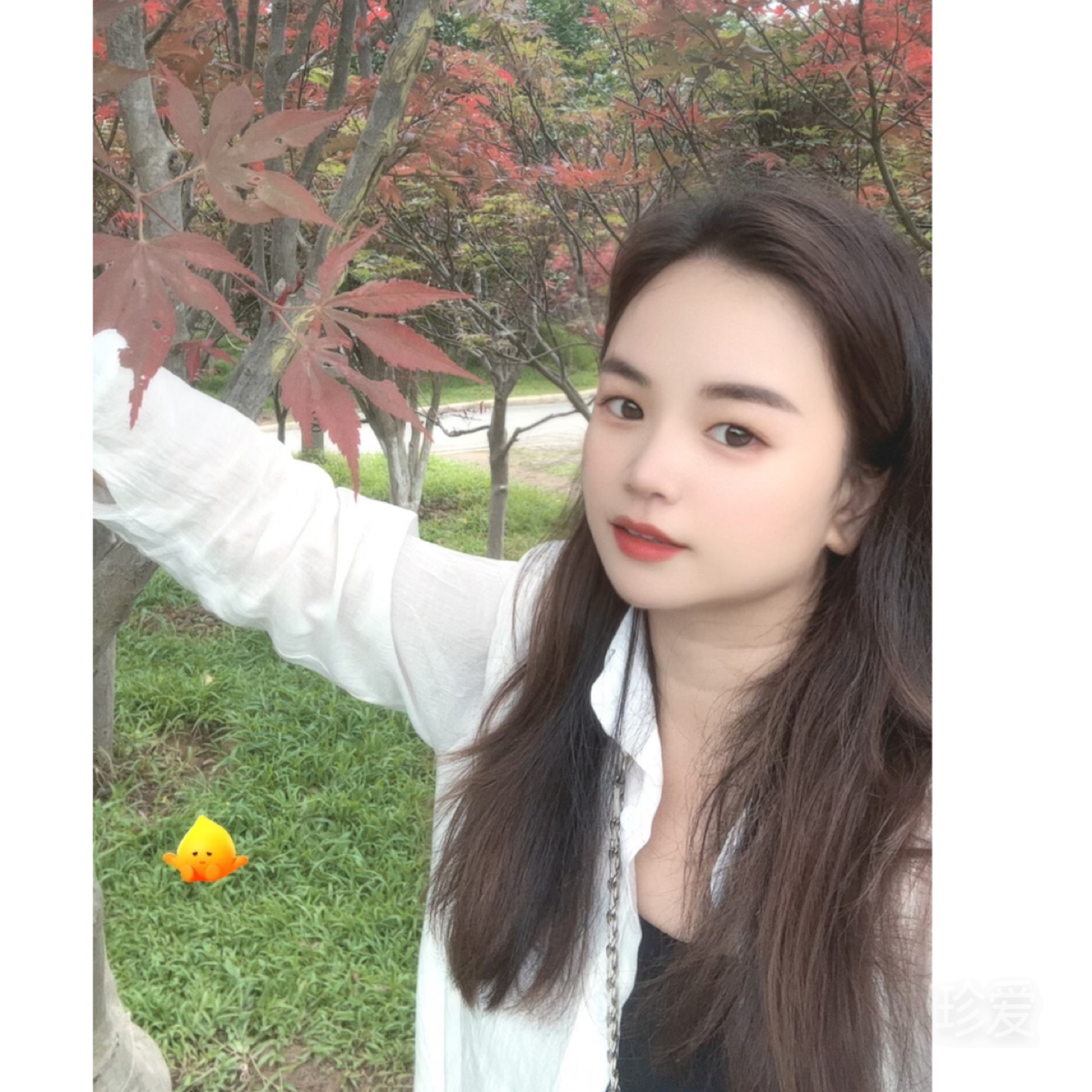 洛熙