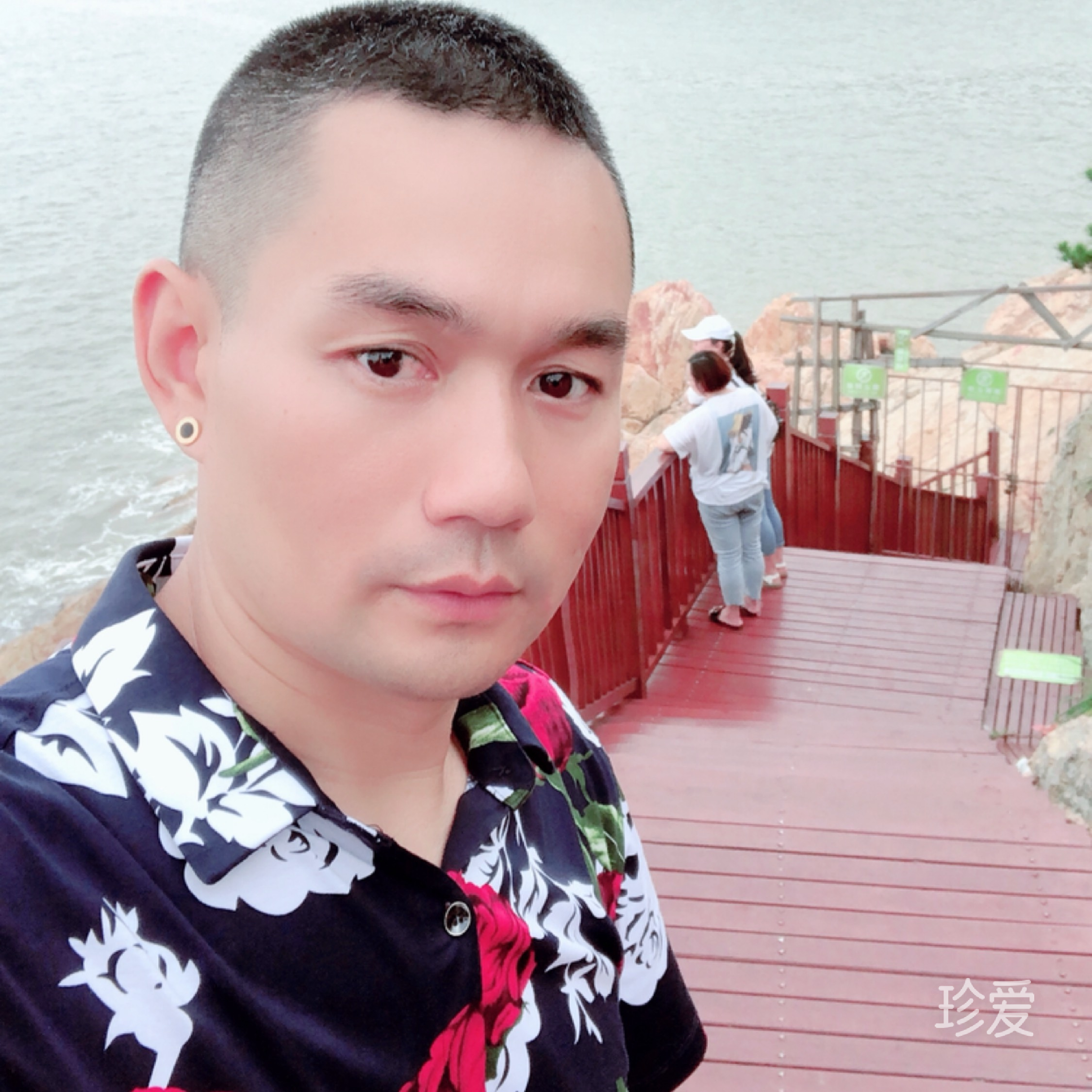 啄木鸟