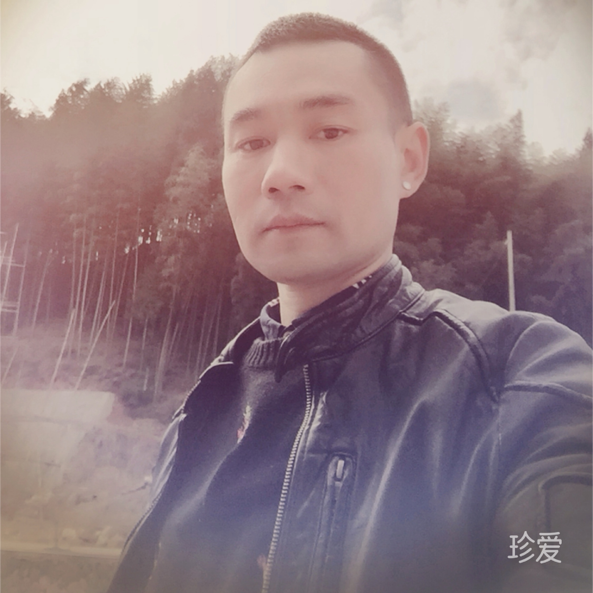 啄木鸟