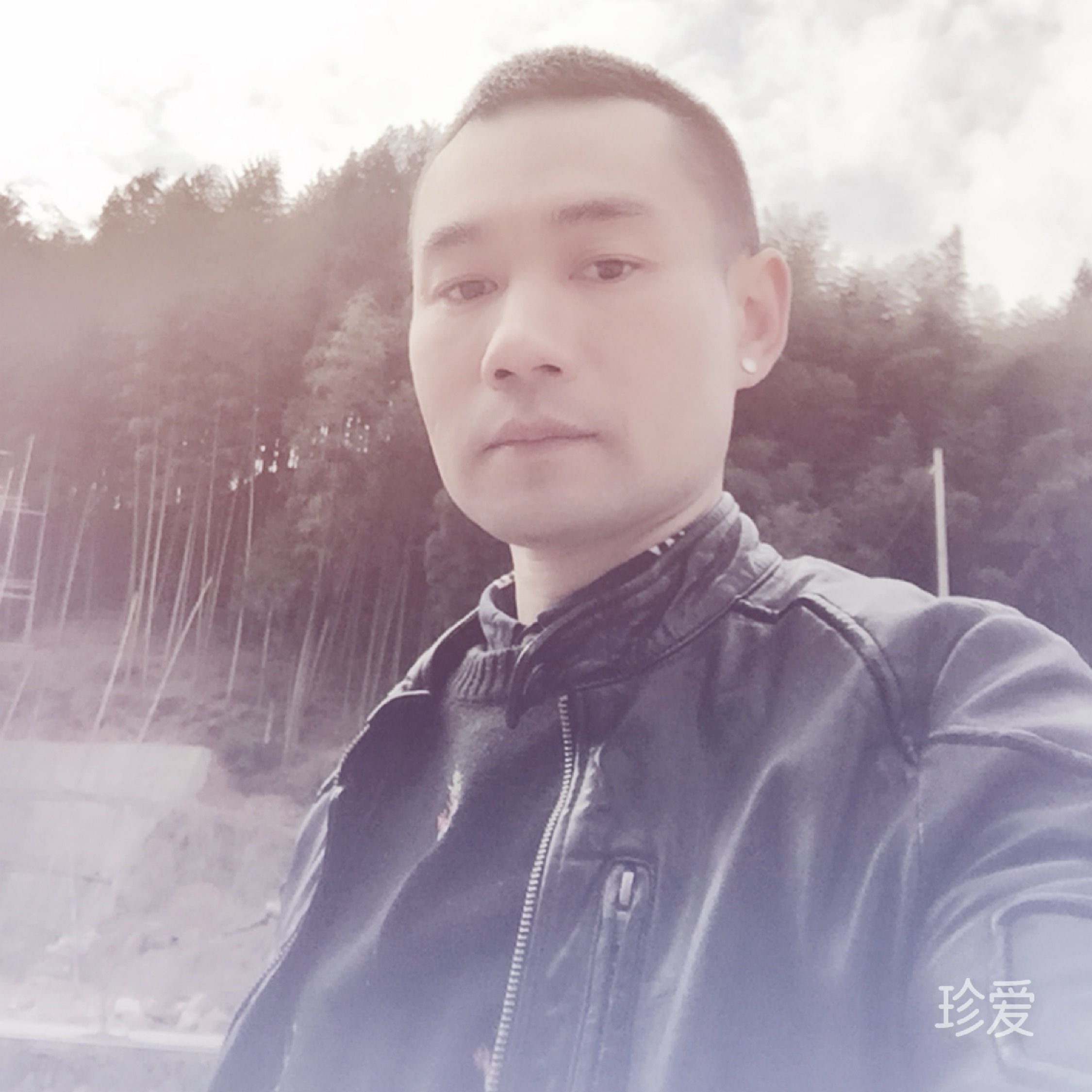 啄木鸟1975年