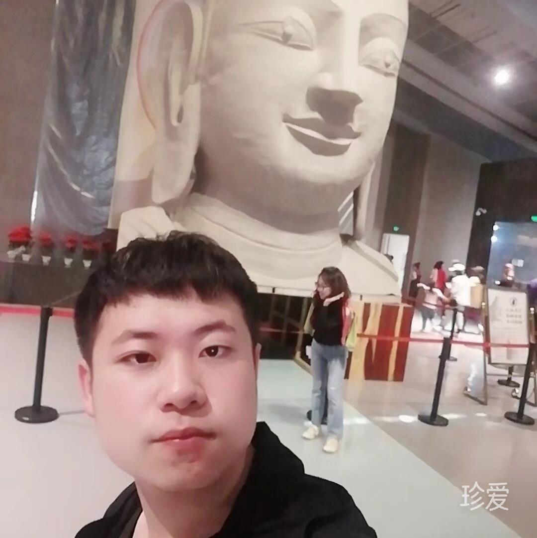 穿过树丛的阳光