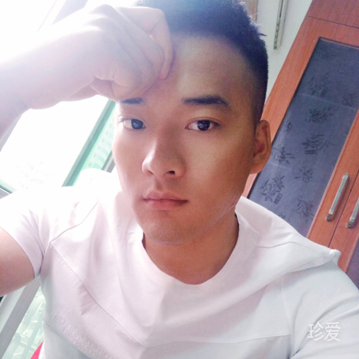 达芬奇的金针菇