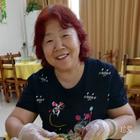 櫻花上的冰