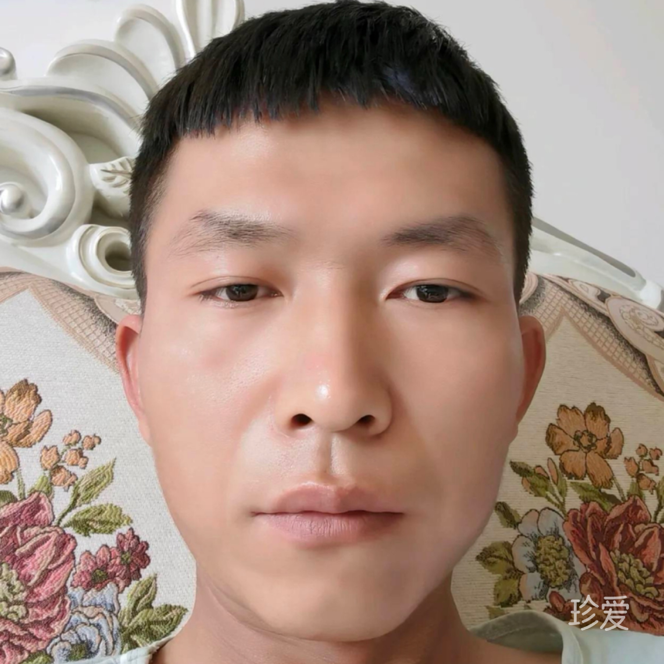 笨熊