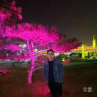 愛(ài)直至成傷