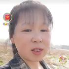 怡然