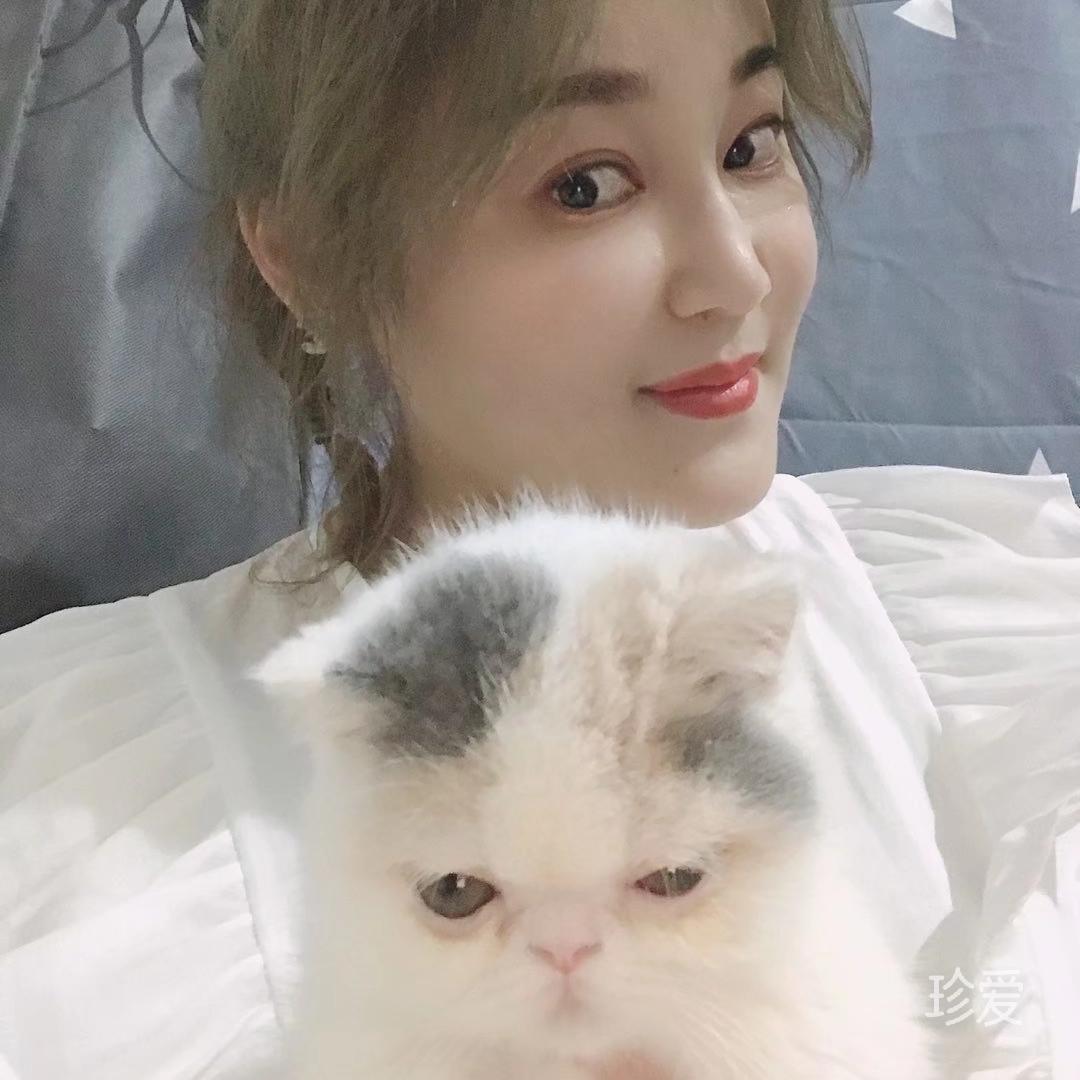 就叫我夏天吧