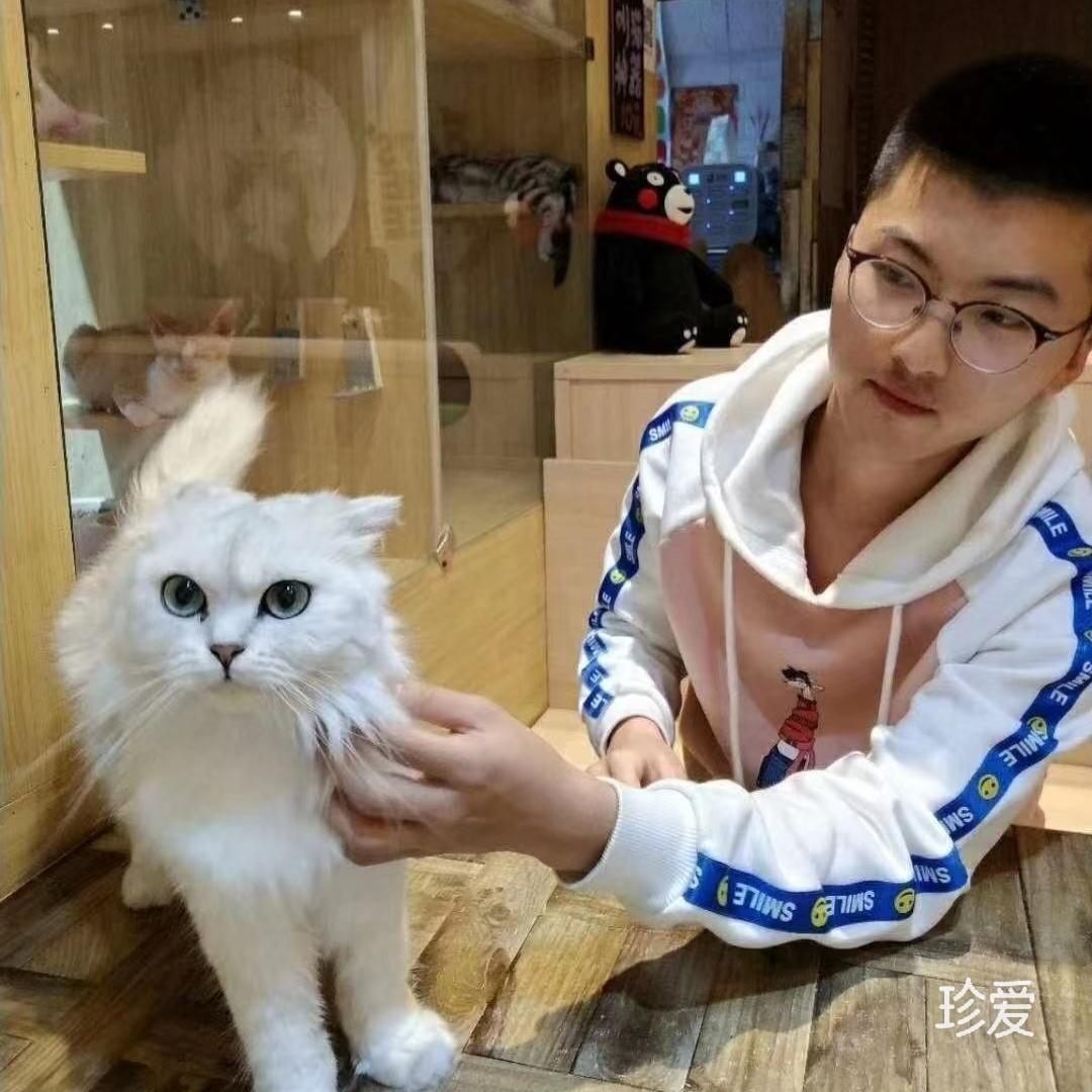 一个有趣的糟老头