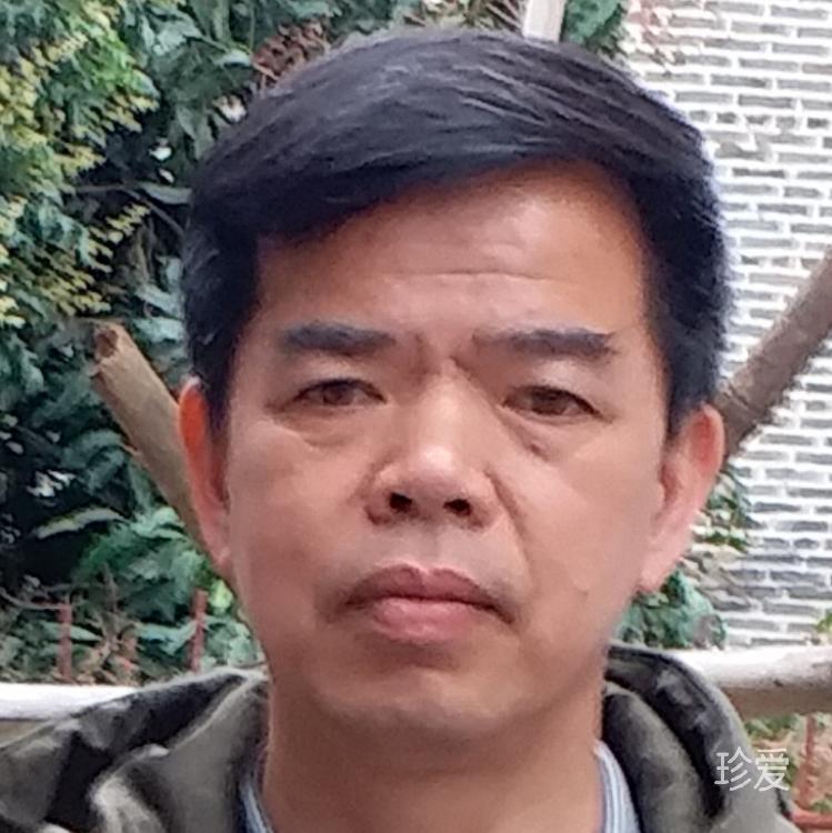 俊枫