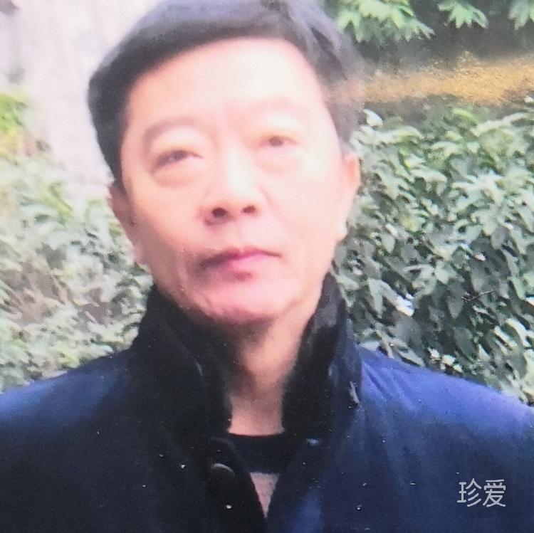 文竹