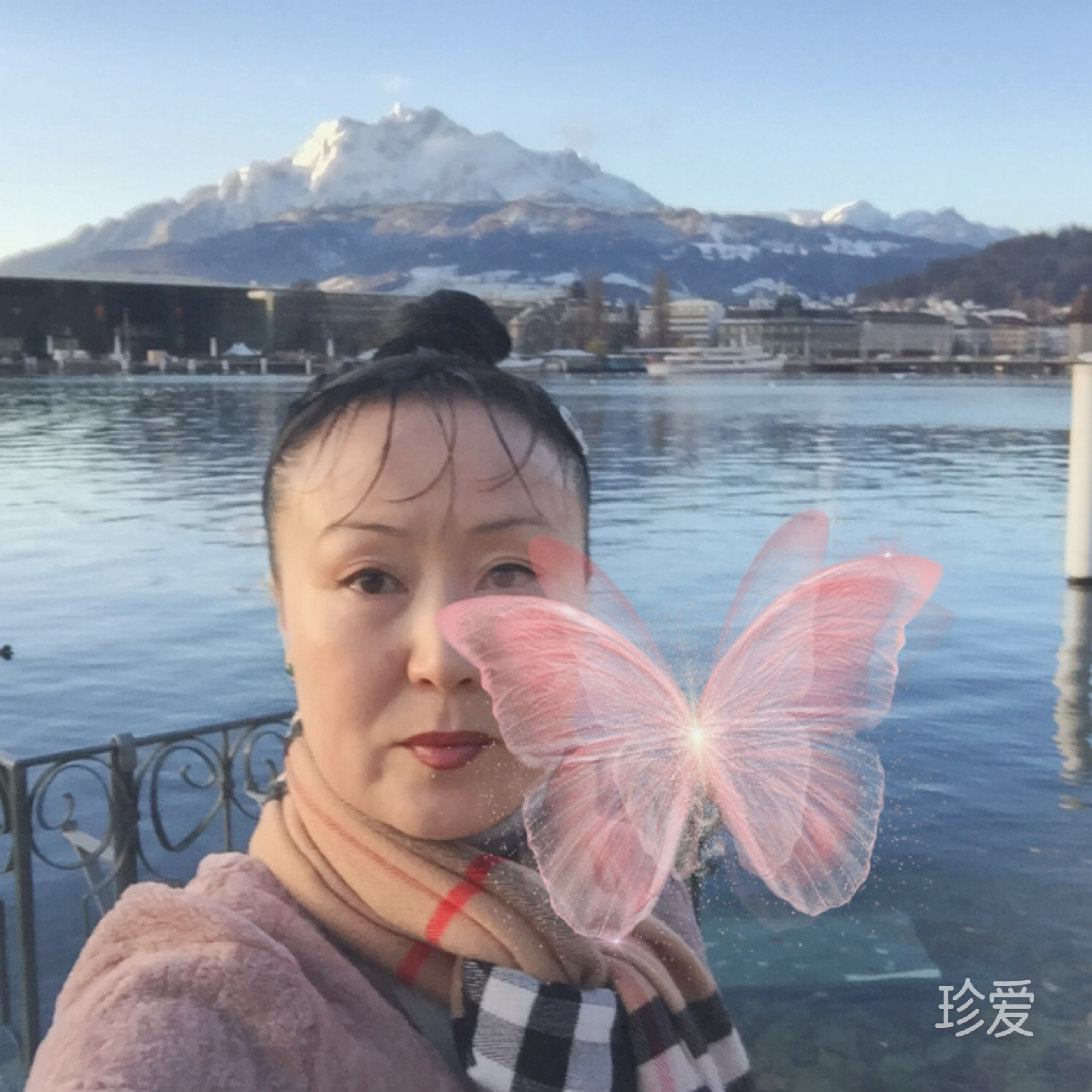 独傲一枝兰
