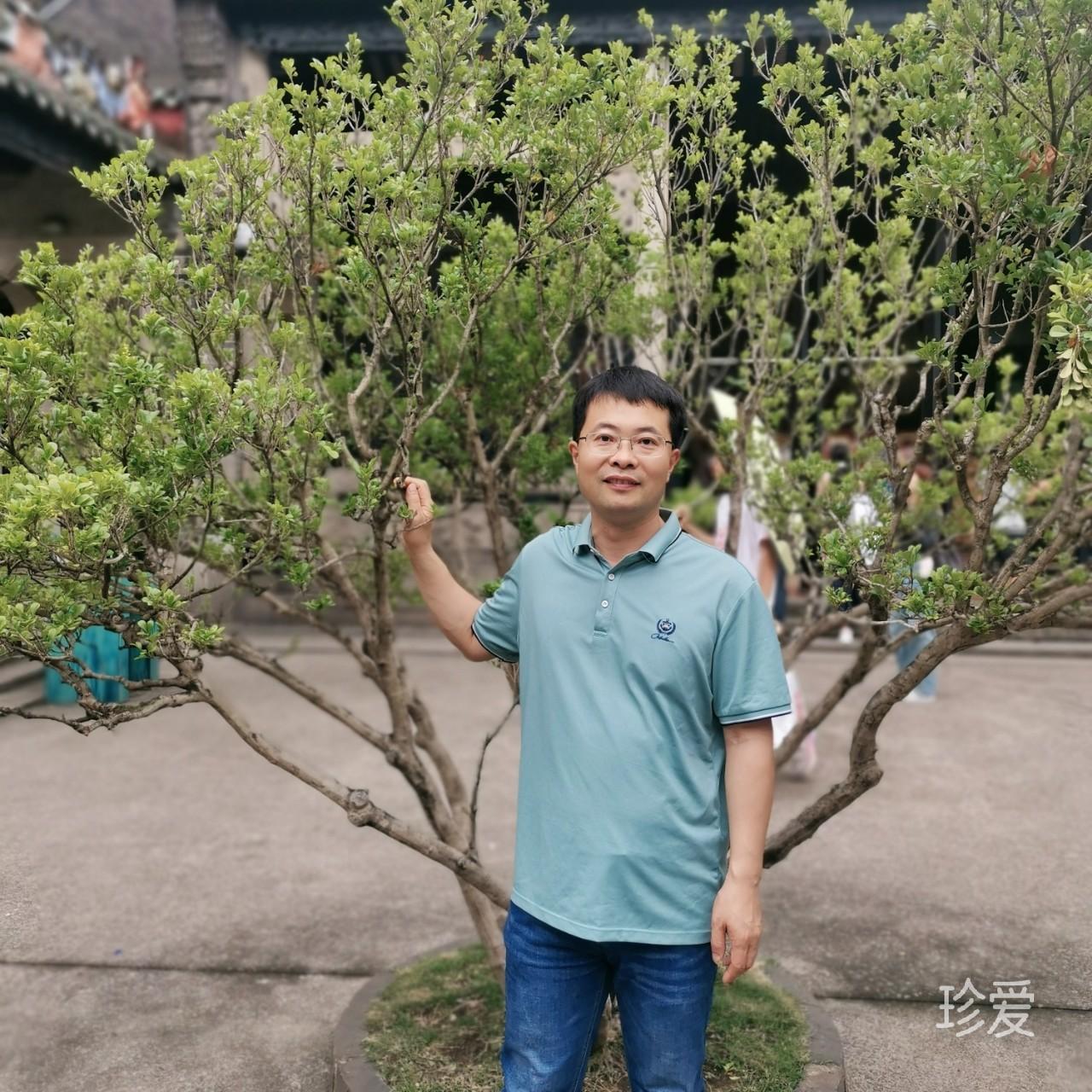 近水楼台