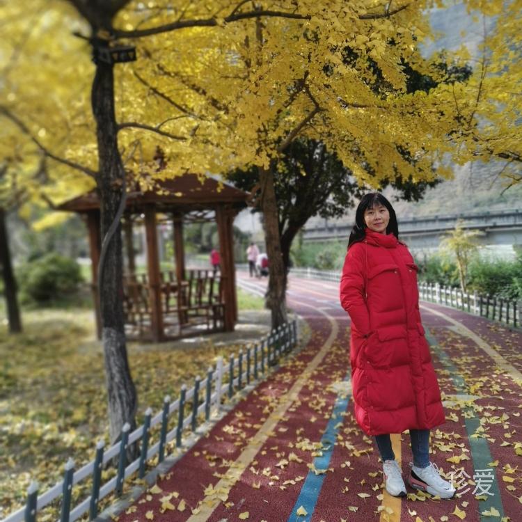 吐。。0的魚(yú)