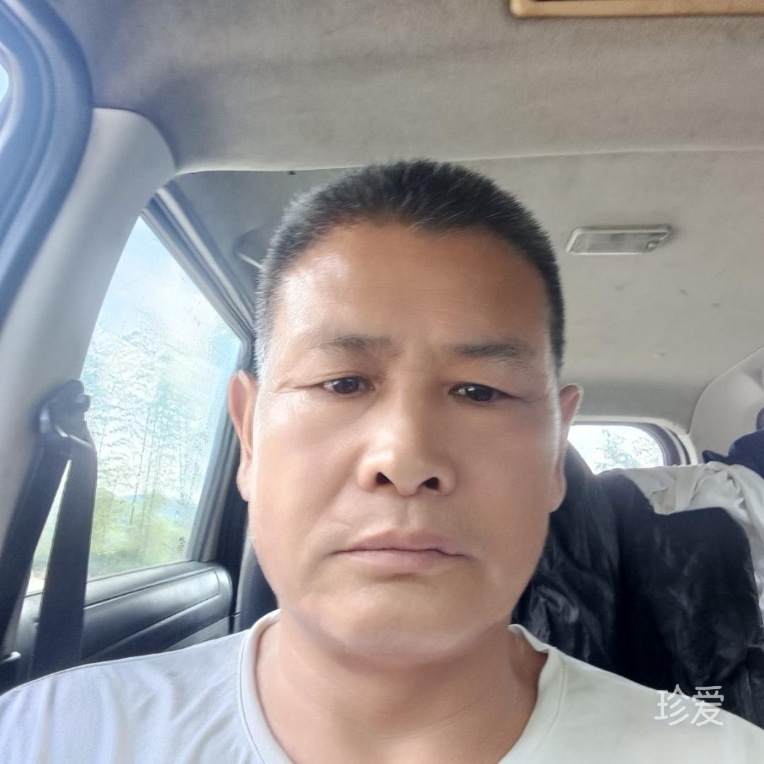张乐彬