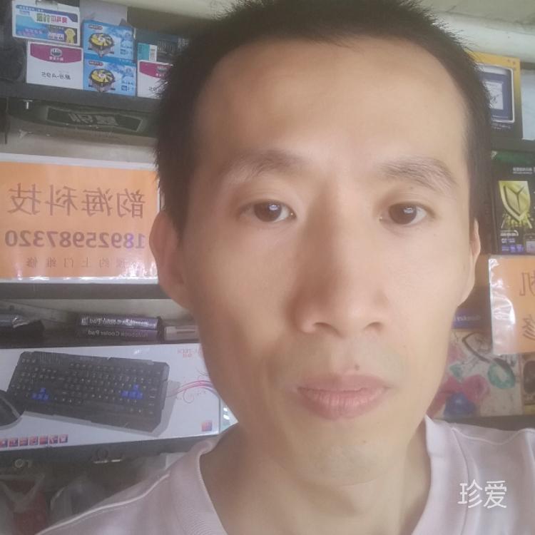 波波龙