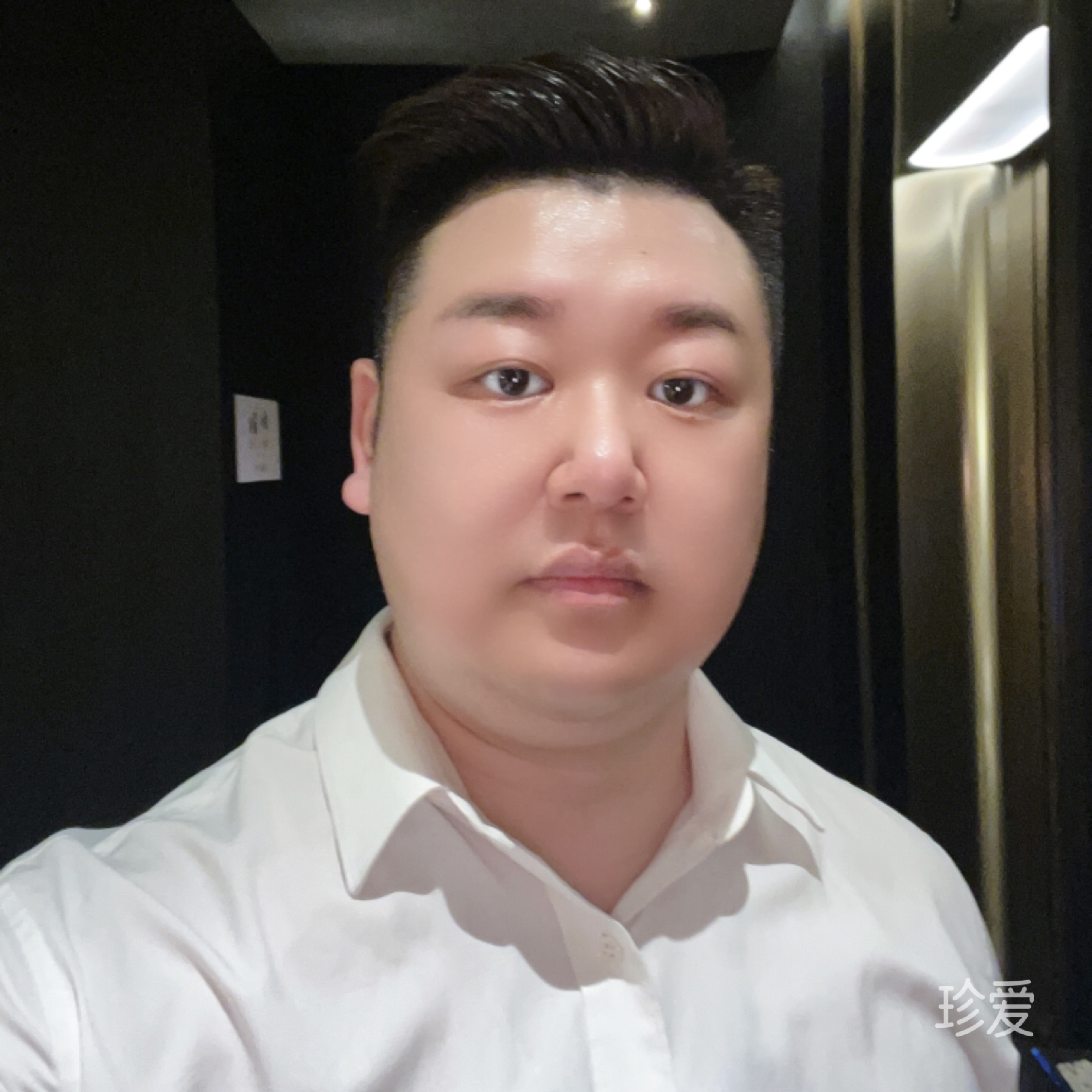 虫儿飞