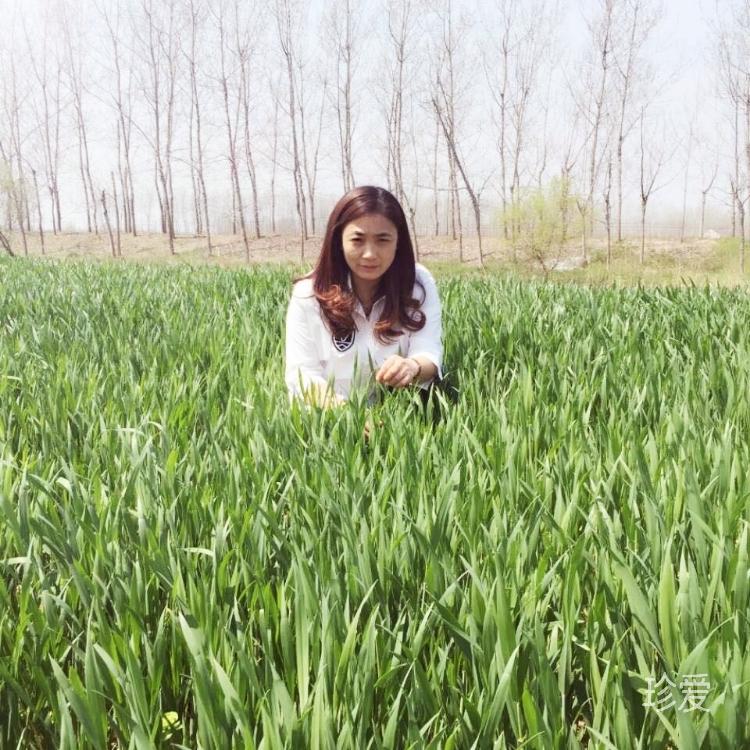 雨季不再來(lái)