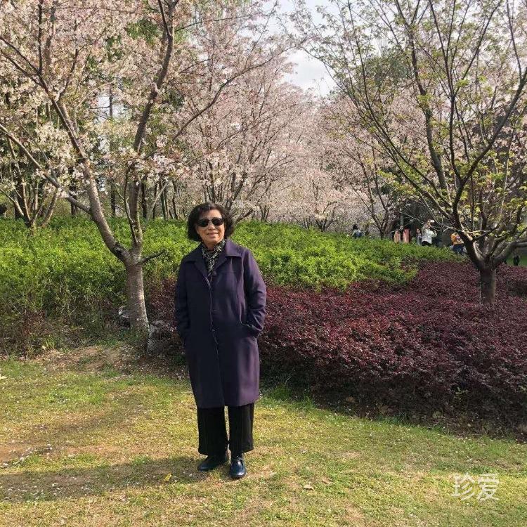 面面