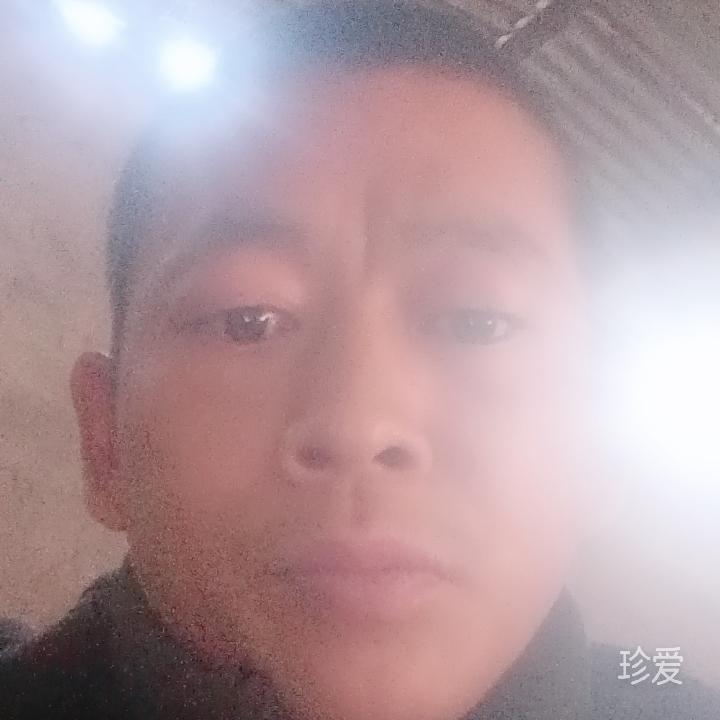 老实人