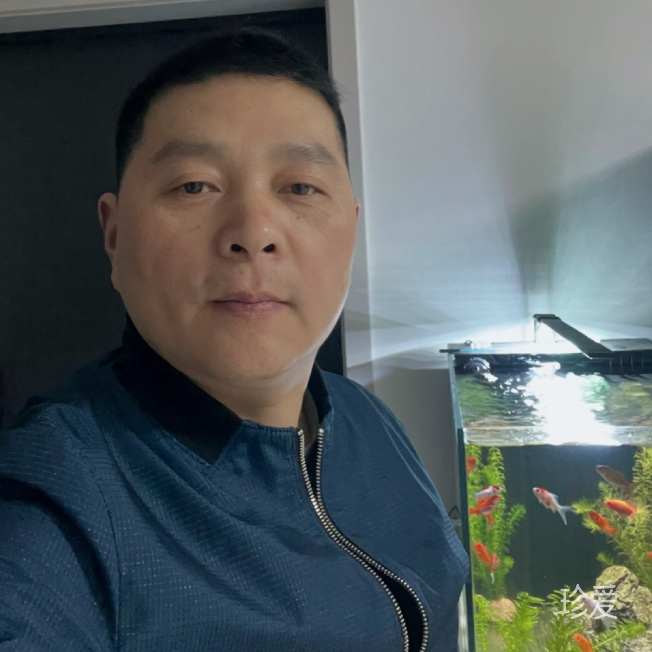 石榴