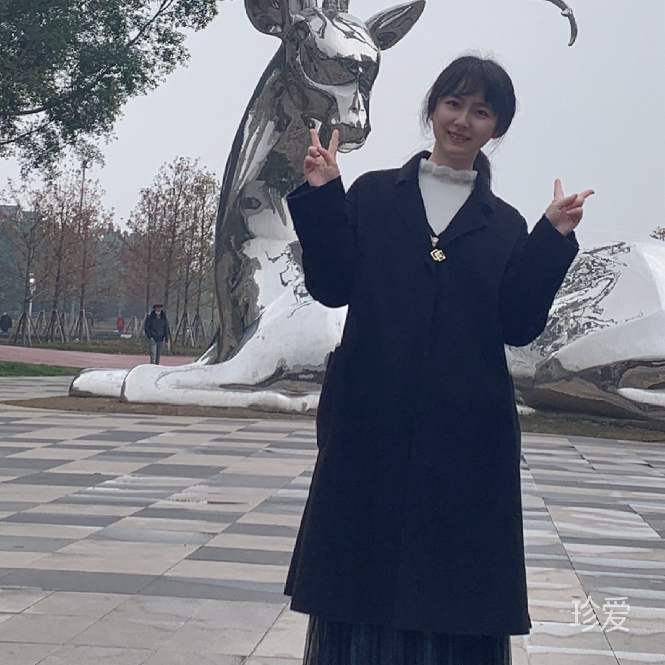 柚子叶