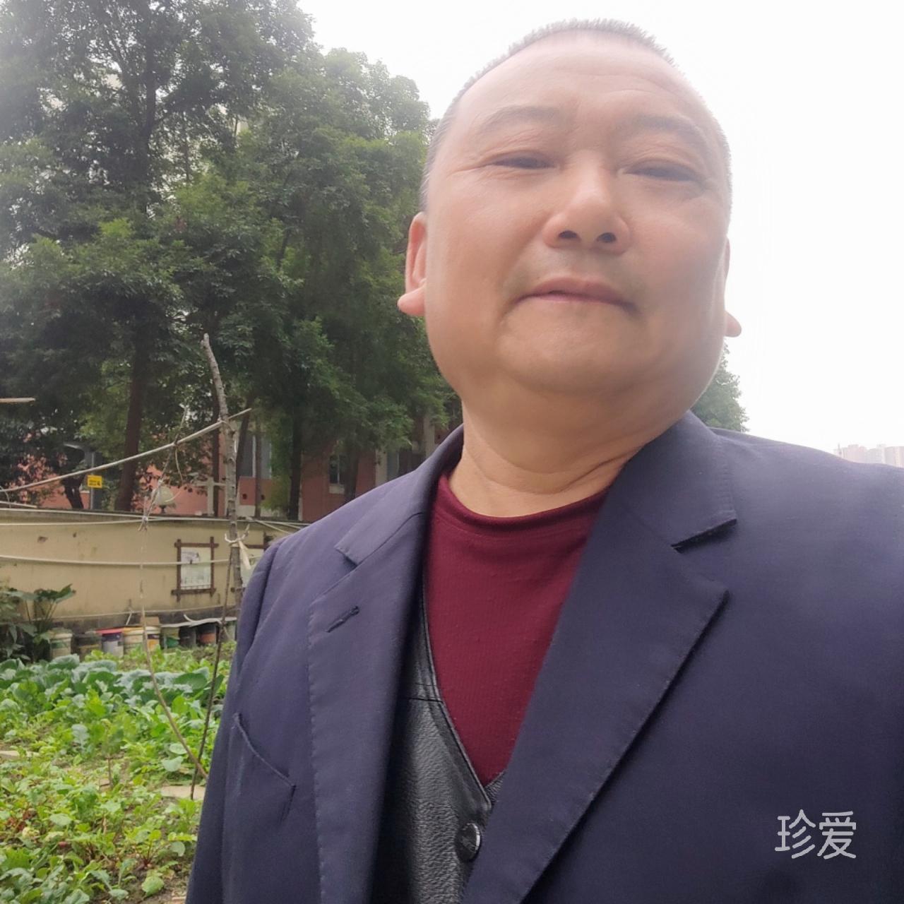 无声的雨
