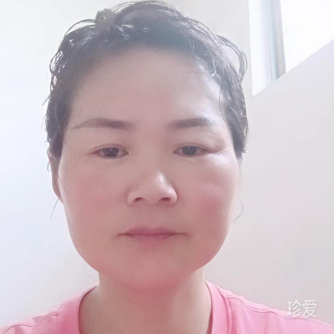 暗香冷蝶