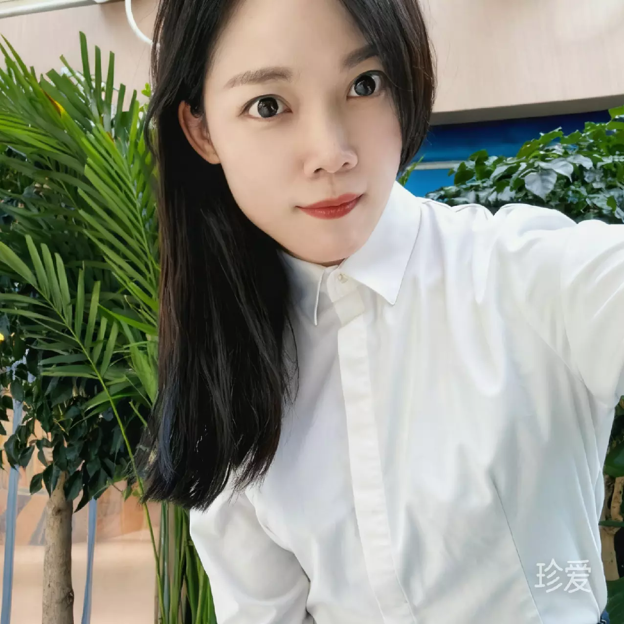 筱懿