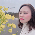 屋檐下的貓
