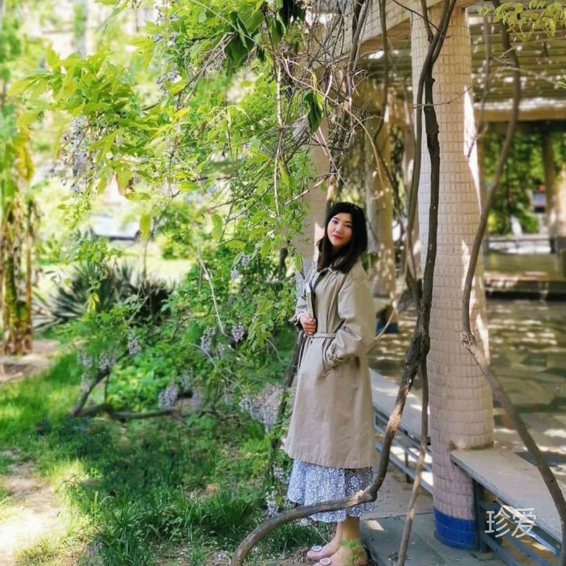 叶子
