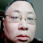 風(fēng)中奔走的韭菜