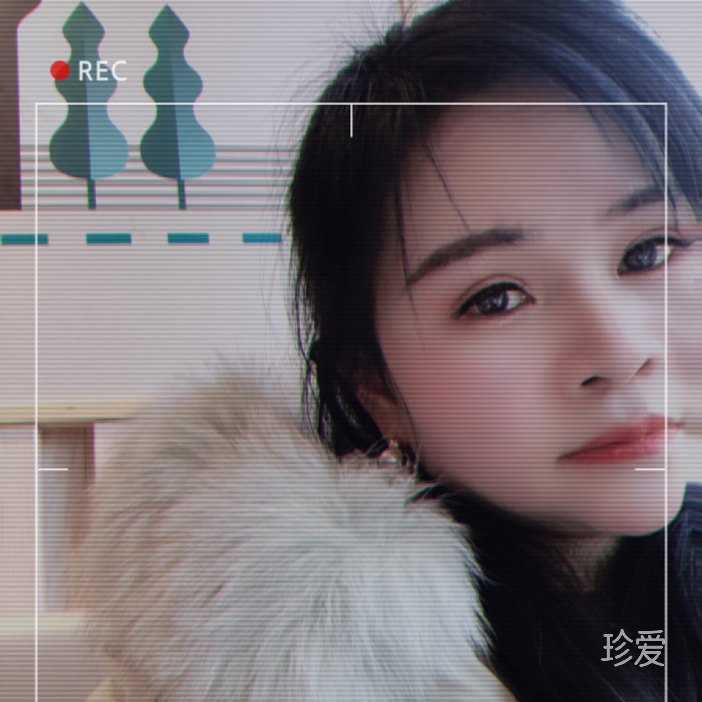 寻你