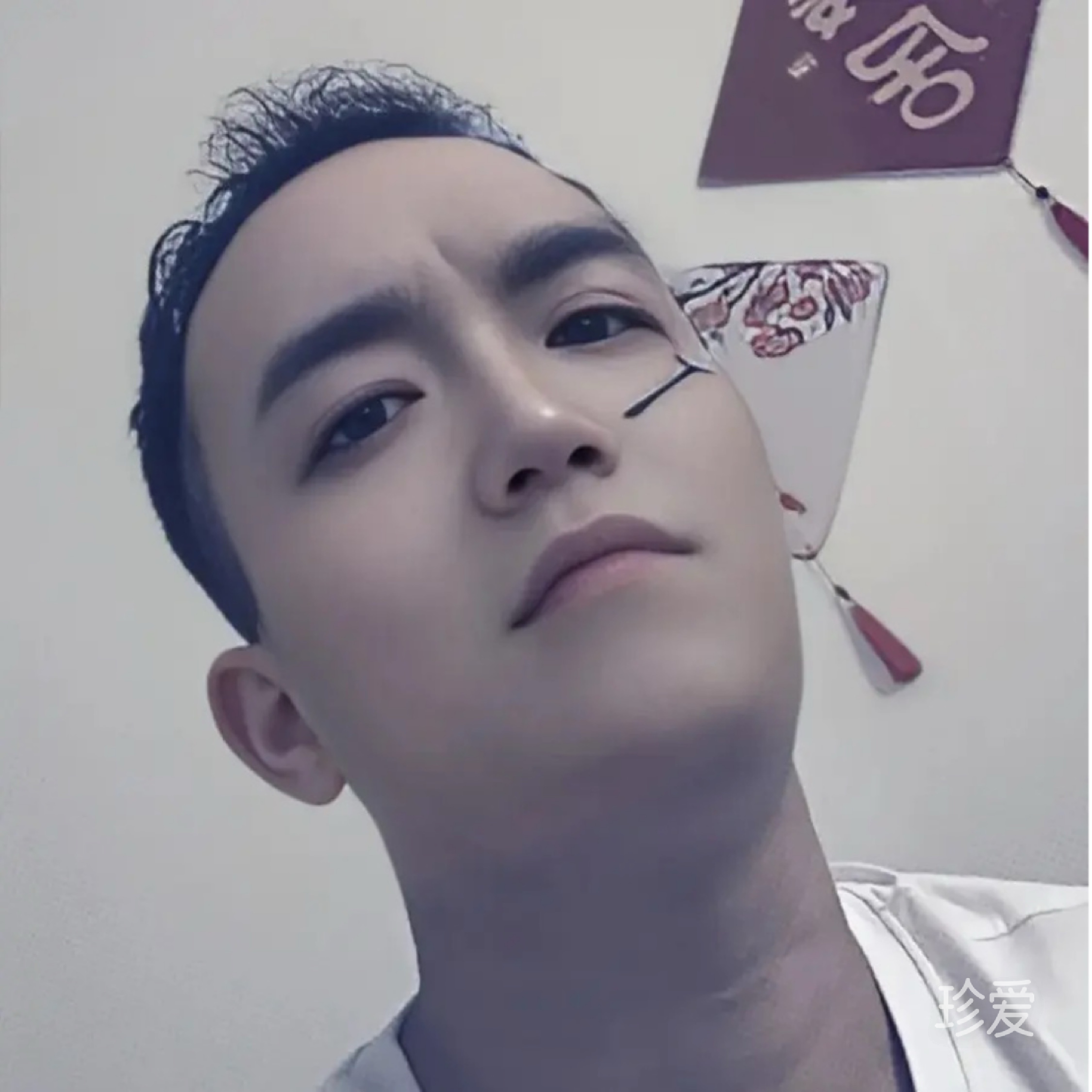 小趴菜